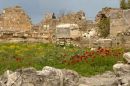 Sarcophagi in Tyre